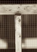 Wall_Art_Alphabet_Photography_Art_ 2175